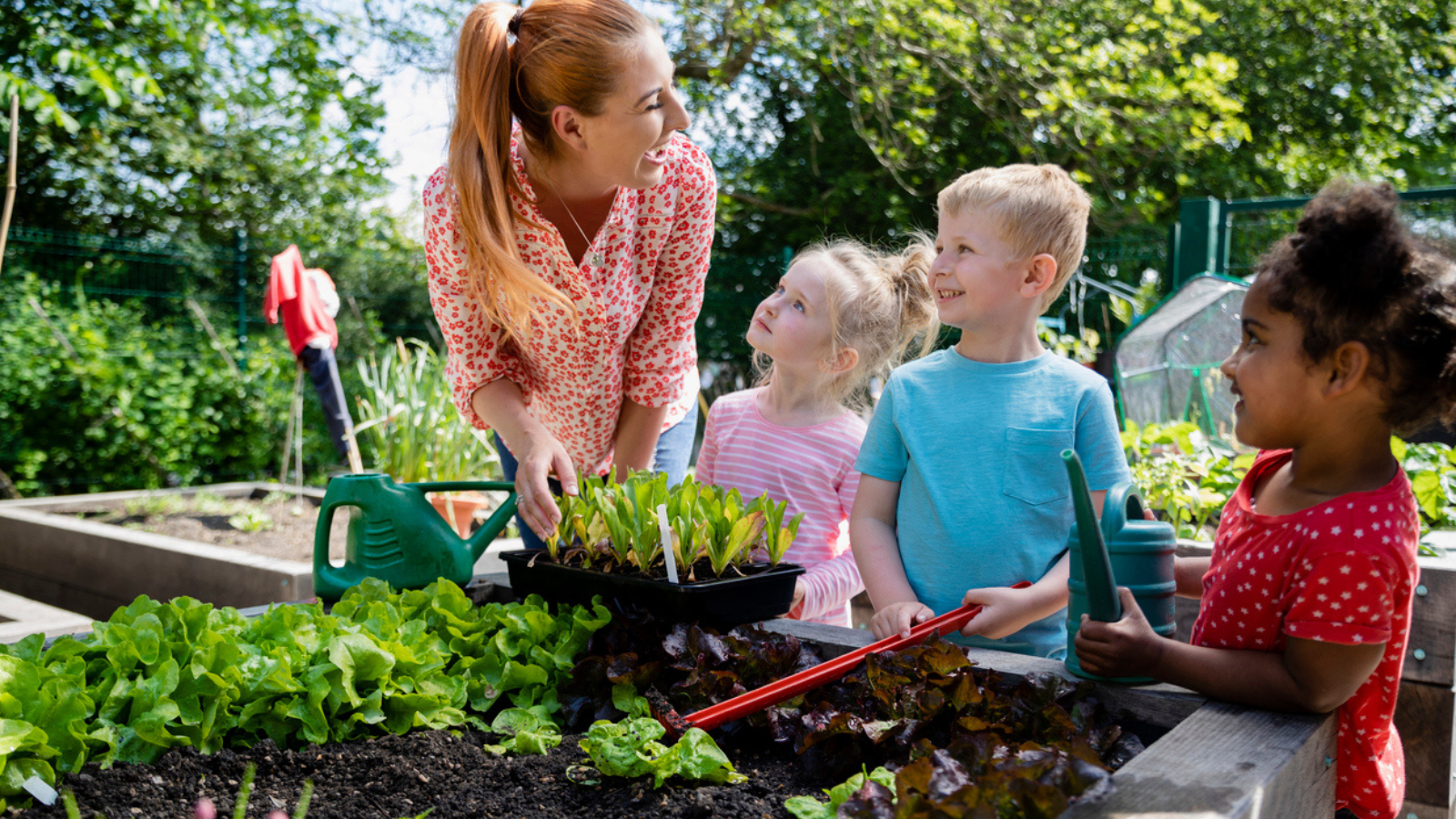 An adult and three children engaging in a gardening activity outdoors, surrounded by lush green plants under sunlight.